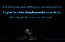 Haga click para ver la imagen ampliada la perfeccion no existe.jpg
